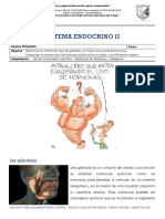 Taller Ciencias Naturales Septimo 4 Sistema Endocrino II Hormonas