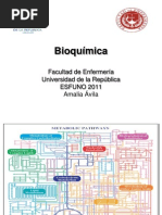 17 - Integración y Regulación Del Metabolismo Intermediario Clase 17