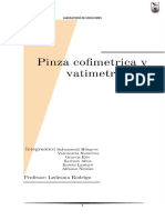 Pinza Cofimetrica y Vatimetro (2) - 1