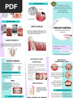 Triptico Periodontogenesis