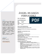 CV - Angel Huaman Fernandez 2022