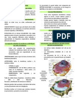 Resumen de Biología