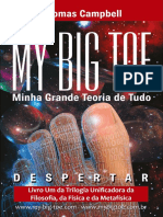 My Big Toe Minha Grande Teoria de Tudo - Thomas Campbell