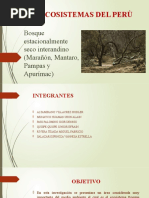 Bosque Estacionalmente Seco Interandino (Marañón, Mantaro, Pampas y Apurimac