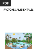 Factores Ambientales Alumnos