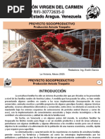 Proyecto Gallinas Traspatio