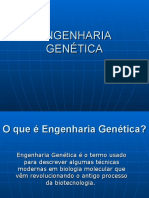 Engenharia Genética