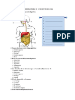 Fichas de Ciencia y Tecnologia