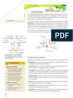 Proteina y Acidos Nucleicos