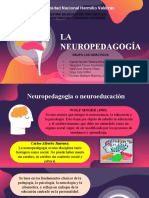 Grupo 4 Los Didácticos ... La Neuropedagogia