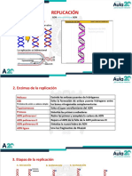 Replicación Expresión Genetica