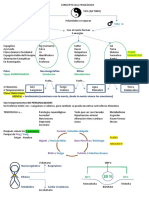 Homeopatía Concepto Fisiológico