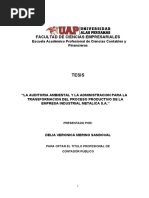 Tesis de Contabilidad Uap