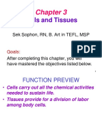 Chapter 3 (Anatomy)