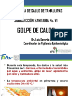 Golpe de Calor