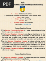 Pentose Phosphate Pathway