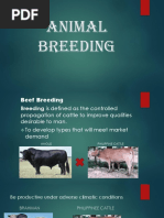 Animal Breeding FF