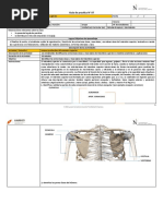 Guia Miembro Superior MF-I