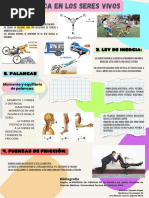 Infografía de Periódico Moderno Ordenado Colorido PDF