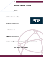 Morfolofia de Plantas Taxonomia