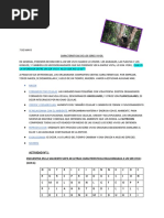 Caracteristicas de Los Seres Vivos Acti 1