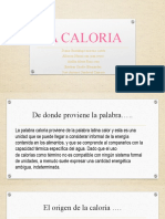 La Caloria 2,1