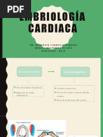 Embriologia Cardiaca