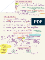 Breathing and Exchange of Gases - Notes