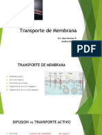 Transporte de Membrana Fisiologia