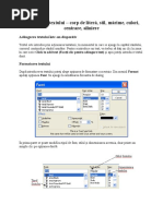 Formatarea Textului