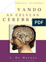 Como Tornar Cada Clula Cerebral Ativa