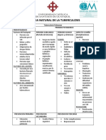 Tuberculosis Historia Natural