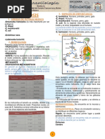 Amebiosis: 1. Amebas de Interes Medico 3. Especies de Importancia