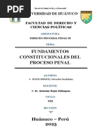 Fundamentos Constitucionales Del Proceso Penal