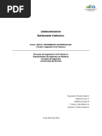 Informe Tensoactivos Cationicos - Grupo3 - Saldía Torres Zavala.