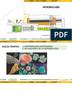 Clase 10 - Microbiologia