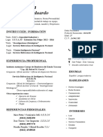 Curriculum Vitae Cruz23