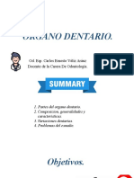 Presentación de Órgano Dental