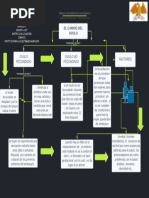 Mapa Conceptual La Ovulacion