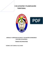 Diplomado en Catastro Y Planificación Territorial