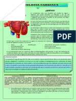 Semiologica Cardiovascular