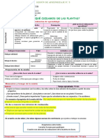 Sesión - Dia 1 - P.S - ¿Por Qué Cuidamos de Las Plantas