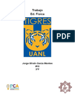 TIGRES