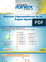 VSM - Razones Trigonométricas de Un Ángulo Agudo