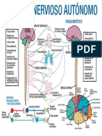 16+Plantillas+Domina+Medicina (1) (1) - 5