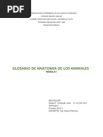 Tematica Anatomia Modulo I Johander Rojas