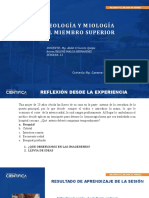 Morfofisiologia I Sesion 11 Osteologia y Miologia Del Miembro Superior