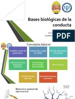 2-Bases Biológicas de La Conducta