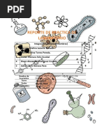 Reporte de Practica de Laboratorio Semana 11-2537