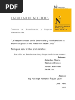 Trabajo Final - Presentacion Examen Final - Proyecto de Tesis - Rodriguez Burgos Sebastian - Sarda Jara Adriana